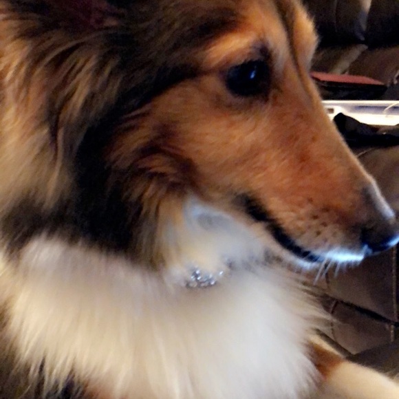 Meet your Posher, Lisa - Picture 1 of 1